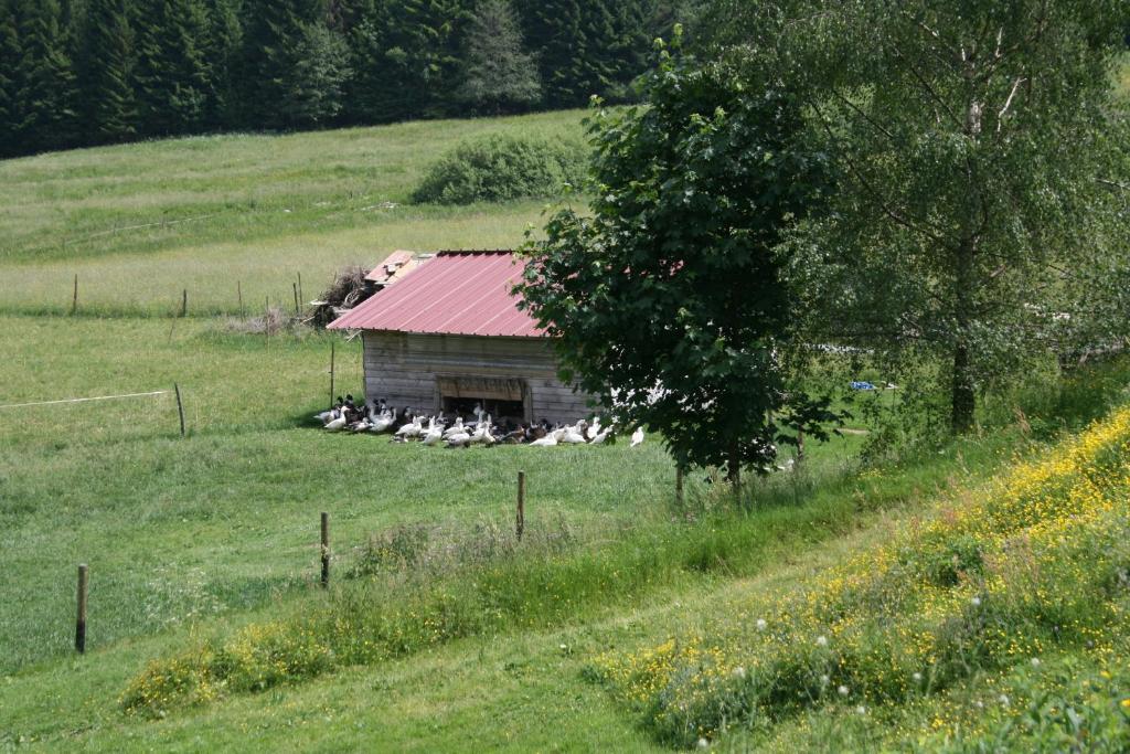 Gites Du Kreuzweg Le Hohwald Exterior photo